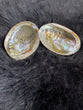 Abalone shells